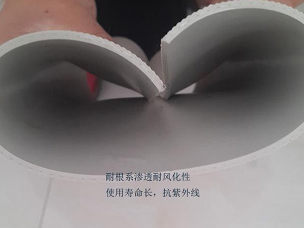pvc防水卷材（P類）耐根穿刺.jpg